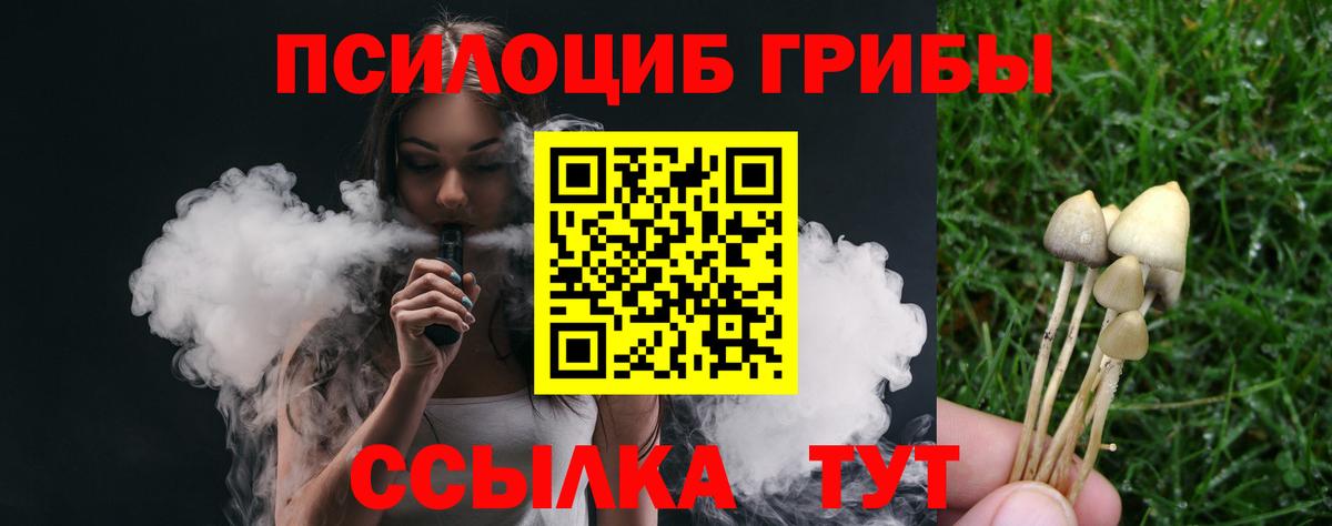 Псилоцибиновые грибы Cubensis  Вход с VPN  Волжский  где продают   Галлюциногенные грибы Magic Shrooms 